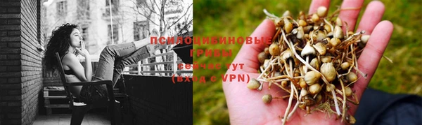 амф Горно-Алтайск