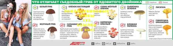 амф Горно-Алтайск