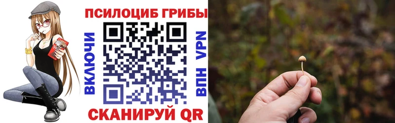 Псилоцибиновые грибы Psilocybine cubensis  hydra ссылка  Добрянка  как найти  